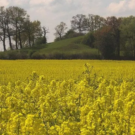Сasa de vacaciones Evening Sun Comfortable