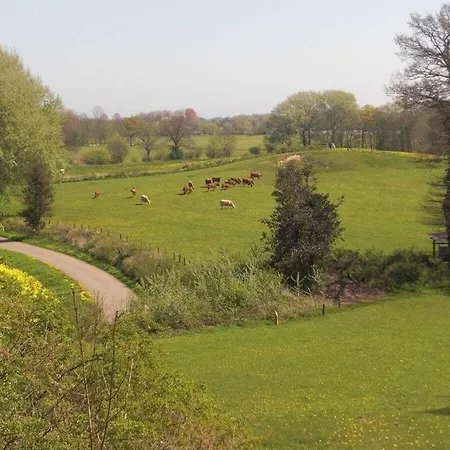 Evening Sun Comfortable