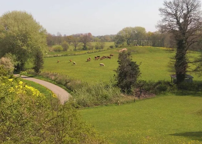 Evening Sun Comfortable